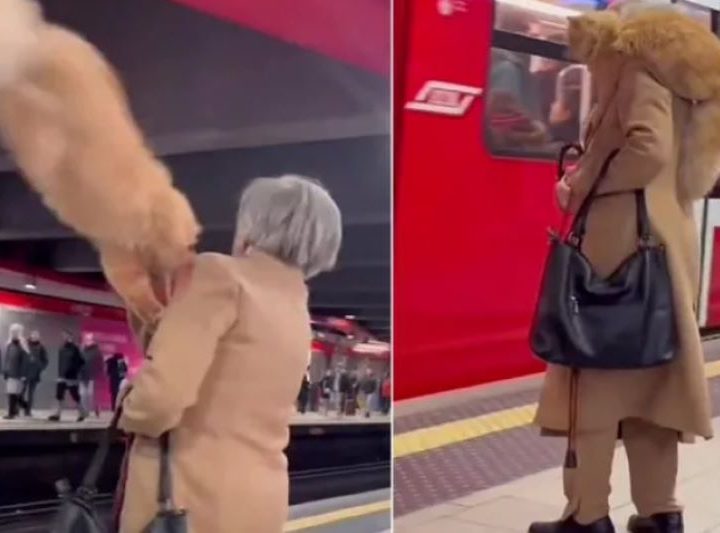 Gatto sulla spalla nella metro di Milano: una signora sconvolge tutti con il suo gesto. Ma come ha fatto?
