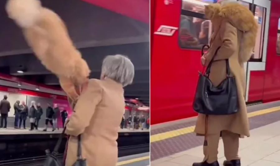 Gatto sulla spalla nella metro di Milano: una signora sconvolge tutti con il suo gesto. Ma come ha fatto?