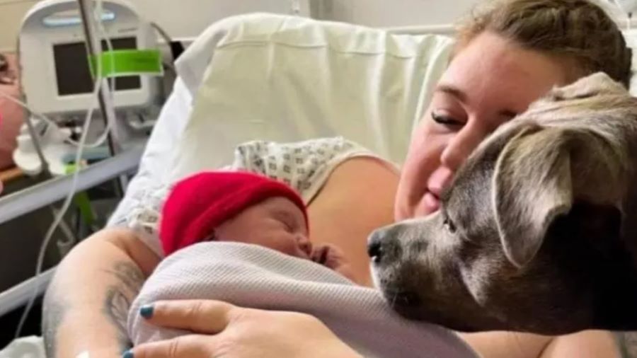 Il cane Belle entra in sala parto per aiutare la sua padrona autistica. Ecco l’incredibile storia d’amore e fedeltà!