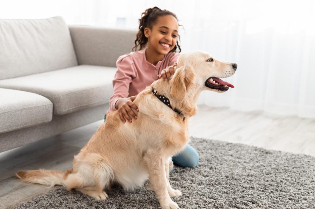 Come educare un cane