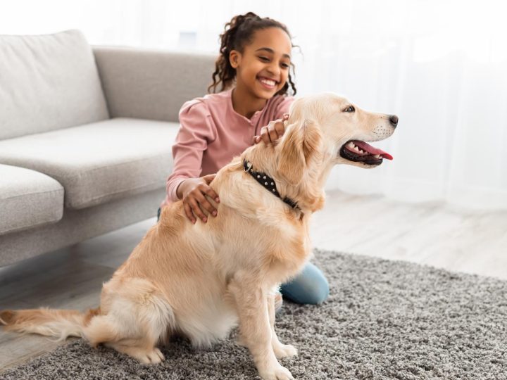 Come educare un cane?