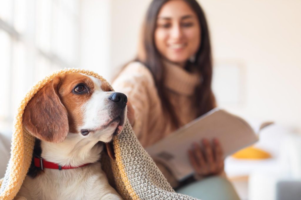 Come insegnare al cane a fare i bisogni sulla traversina