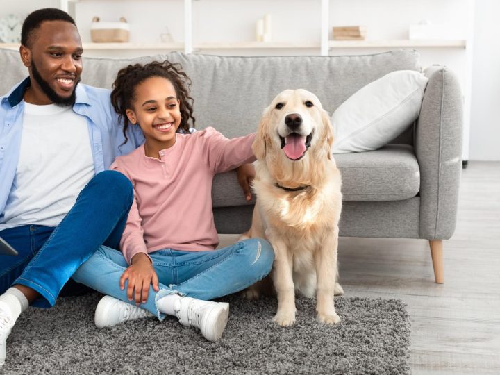 Cosa vuol dire quando il cane ti lecca l’orecchio?