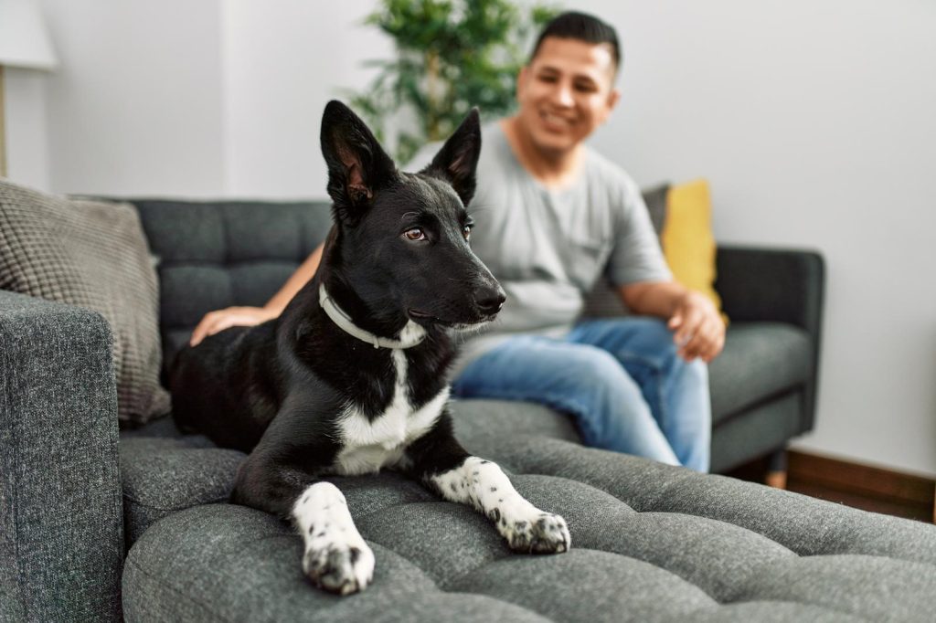 Dove andare con il cane la domenica