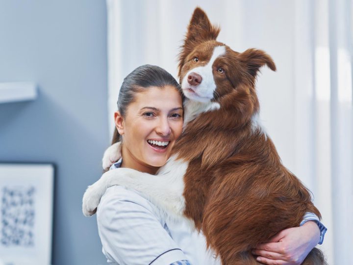 Dove possono entrare i cani di piccola taglia?