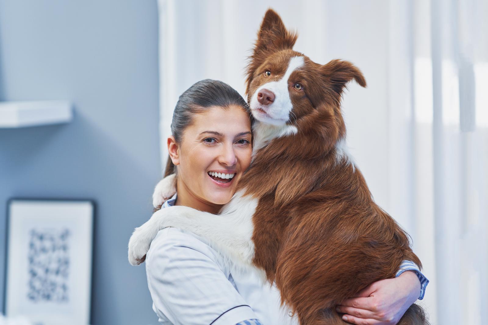 Dove possono entrare i cani di piccola taglia?
