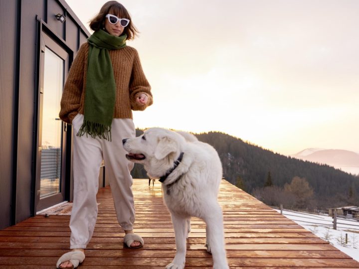 Qual è il cane più pericoloso al mondo?